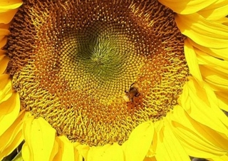 Auf der Farm Kalender 2026 – Individueller Planer für Ihre Notizen und Ideen