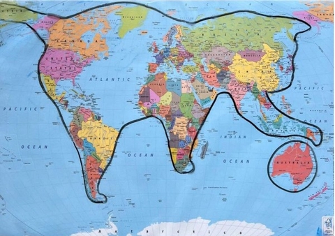 Die Welt ist eine Katze - Kalender 2026 &ndash; Individueller Planer f&uuml;r Ihre Notizen und Ideen (Fotograf Jakob Welik) - Jakob Welik