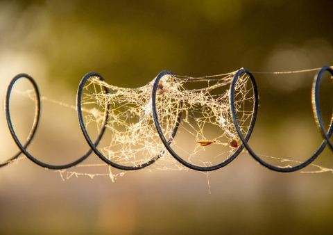 Auf der Farm Kalender 2026 &ndash; Individueller Planer f&uuml;r Ihre Notizen und Ideen - Jakob Welik