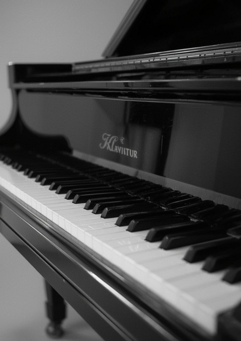 Music Booklet: DIN A4 Staff Book | 60 Pages with 12 Staves / Systems per Sheet | Paper 90g/m&sup2; - Jakob Welik