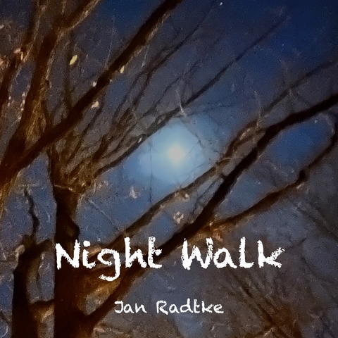 Night Walk - Jan Radtke