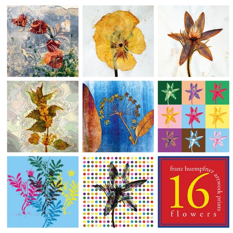16 Artworks - Flowers - Franz H&uuml;mpfner