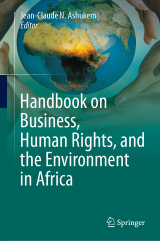 Handbook on Business, Human Rights, and the Environment in Africa