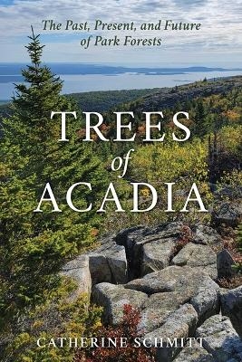 Trees of Acadia - Catherine Schmitt