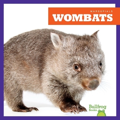 Wombats - Natalie Deniston
