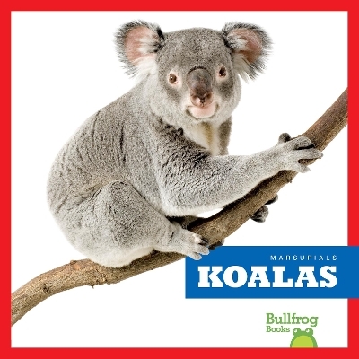 Koalas - Natalie Deniston