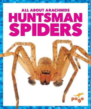 Huntsman Spiders