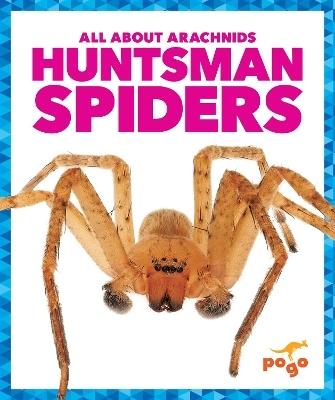 Huntsman Spiders - Jenna Lee Gleisner