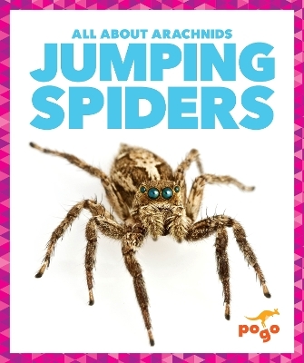 Jumping Spiders - Becca Becker