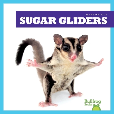 Sugar Gliders - Natalie Deniston