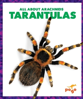 Tarantulas - Becca Becker