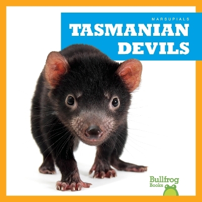 Tasmanian Devils - Natalie Deniston