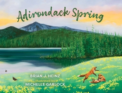 Adirondack Spring - Brian J. Heinz