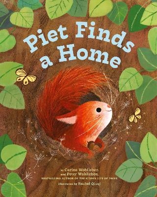Piet Finds A Home - Peter Wohlleben, Carina Wohlleben