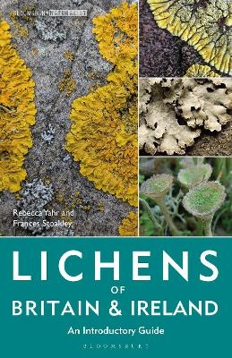 Lichens of Britain and Ireland - Dr Rebecca Yahr, Frances Stoakley