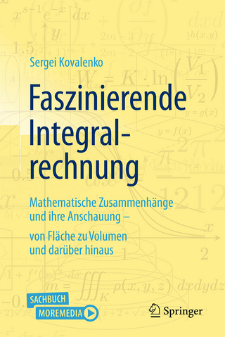 Faszinierende Integralrechnung