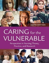 Caring for the Vulnerable: Perspectives in Nursing Theory, Practice, and Research - De Chesnay, Mary; Anderson, Barbara A.