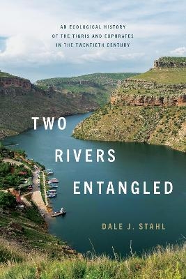 Two Rivers Entangled - Dale J. Stahl