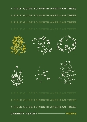 A Field Guide to North American Trees
