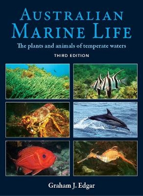 Australian Marine Life