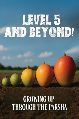 Level 5 and Beyond - Chaim Hirsch