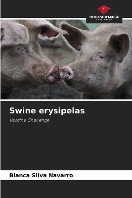 Swine erysipelas - Bianca Silva Navarro