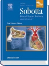 Sobotta - Atlas of Human Anatomy one volume edition - Putz, Reinhard; Pabst, Reinhard