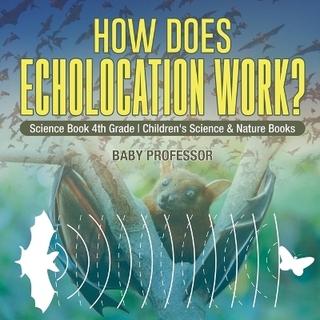 How Does Echolocation Work? Science Book 4th Grade Children's Science & Nature Books