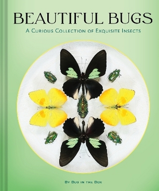 Beautiful Bugs