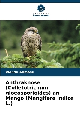 Anthraknose (Colletotrichum gloeosporioides) an Mango (Mangifera indica L.) - Wendu Admasu