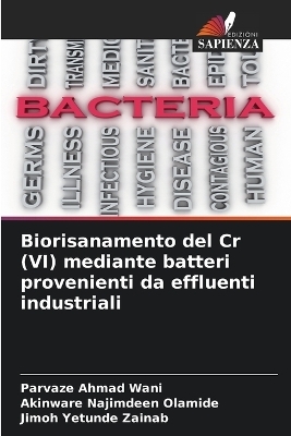 Biorisanamento del Cr (VI) mediante batteri provenienti da effluenti industriali - Parvaze Ahmad Wani, Akinware Najimdeen Olamide, Jimoh Yetunde Zainab