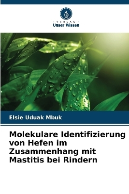 Molekulare Identifizierung von Hefen im Zusammenhang mit Mastitis bei Rindern