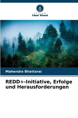 REDD+-Initiative, Erfolge und Herausforderungen