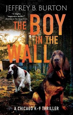 The Boy in the Wall - Jeffrey B. Burton