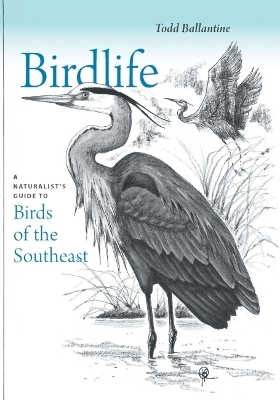 Birdlife - Todd Ballantine
