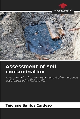 Assessment of soil contamination - Teidiane Santos Cardoso