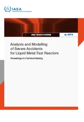 Analysis and Modelling of Severe Accidents for Liquid Metal Fast Reactors