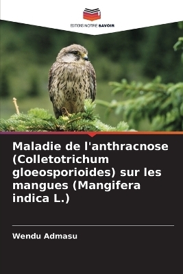 Maladie de l'anthracnose (Colletotrichum gloeosporioides) sur les mangues (Mangifera indica L.) - Wendu Admasu