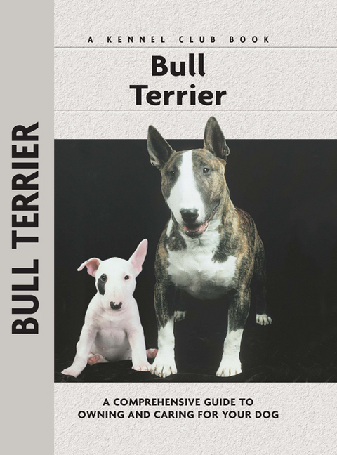 Bull Terrier - Bethany Gibson