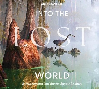Into the Lost World
