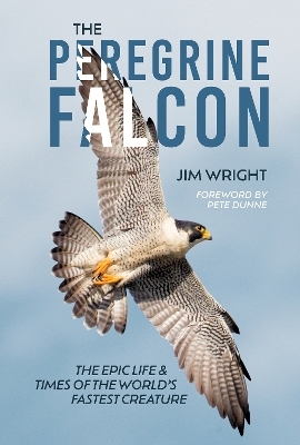 The Peregrine Falcon - Jim Wright