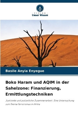 Boko Haram und AQIM in der Sahelzone - Basile Anyia Enyegue