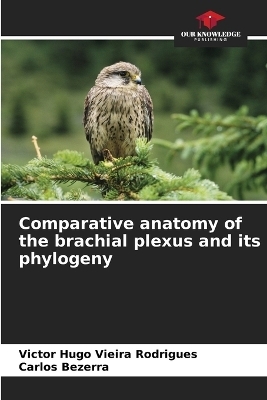 Comparative anatomy of the brachial plexus and its phylogeny - Victor Hugo Vieira Rodrigues, Carlos Bezerra