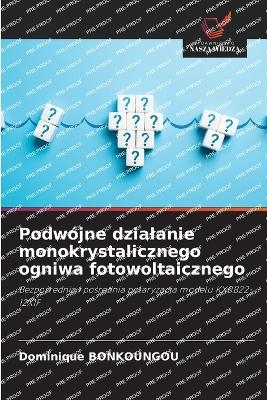 Podw&oacute;jne dzialanie monokrystalicznego ogniwa fotowoltaicznego - Dominique BONKOUNGOU