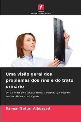 Uma visão geral dos problemas dos rins e do trato urinário