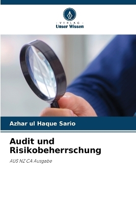 Audit und Risikobeherrschung