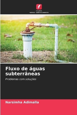 Fluxo de &aacute;guas subterr&acirc;neas - Narsimha Adimalla