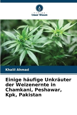 Einige häufige Unkräuter der Weizenernte in Chamkani, Peshawar, Kpk, Pakistan