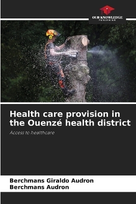 Health care provision in the Ouenzé health district