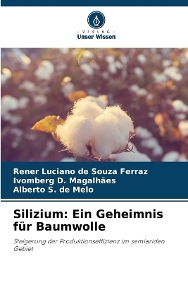 Silizium - Rener Luciano de Souza Ferraz, Ivomberg D Magalh&atilde;es, Alberto S de Melo